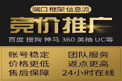 SEM投放策略优化案例分析